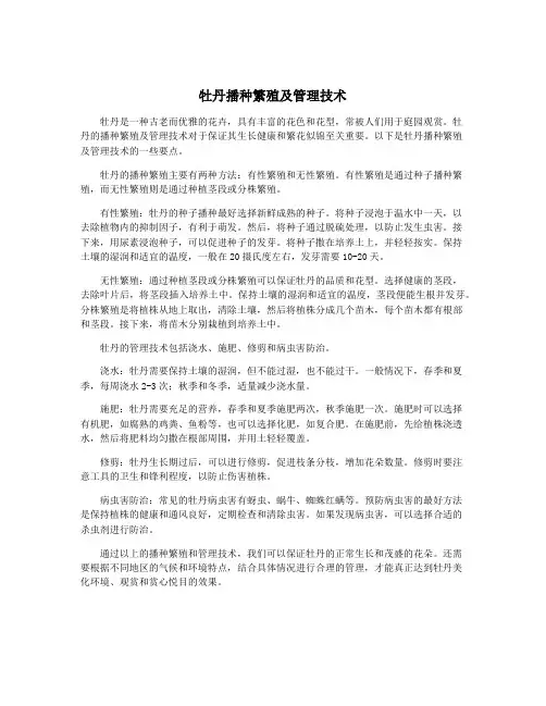 牡丹播种繁殖及管理技术