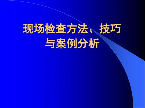 银行业现场检查方法、技巧与案例分析