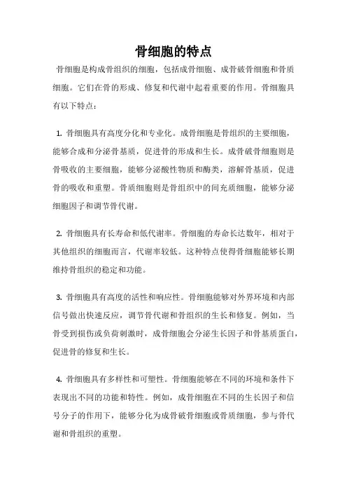 骨细胞的特点
