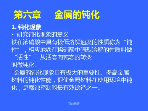 金属腐蚀与防护 第6章 金属的钝化