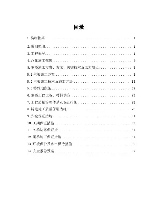 云山隧道专项施工方案