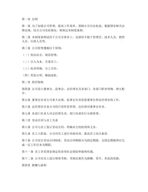 沙特公司管理制度条例全文