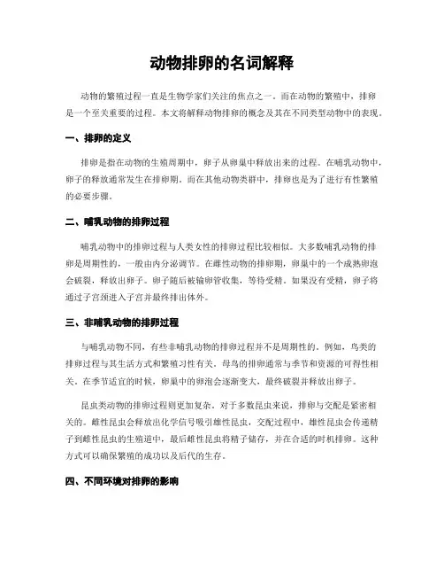 动物排卵的名词解释