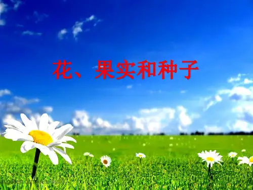 《果实和种子》苏教版科学优秀课件1