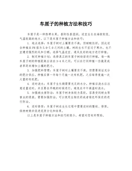 车厘子的种植方法和技巧
