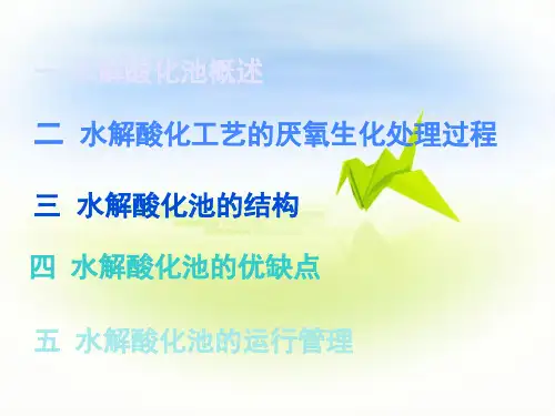 水解酸化池原理及操作规程培训课堂PPT
