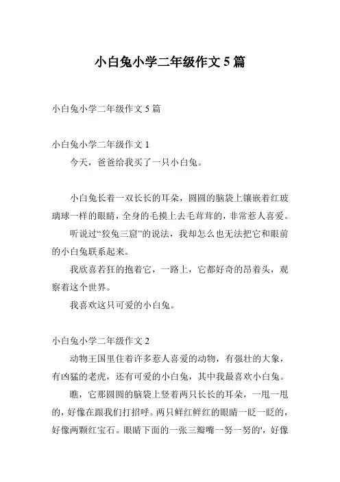 小白兔小学二年级作文5篇
