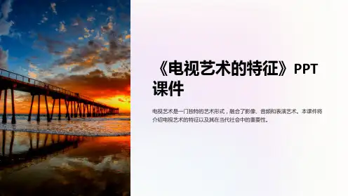 《电视艺术的特征》课件