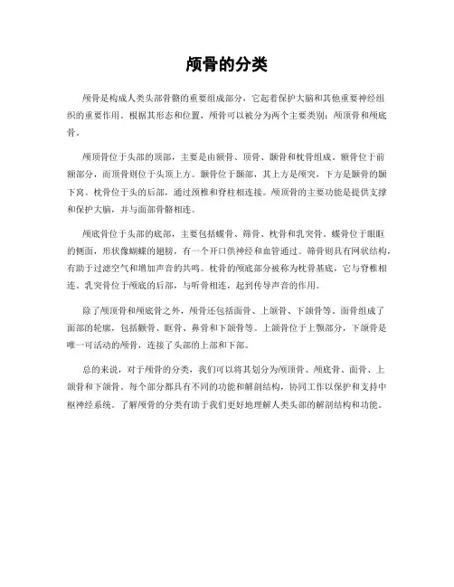 颅骨的分类