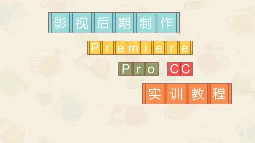 影视后期制作 视频色彩与色调的校正