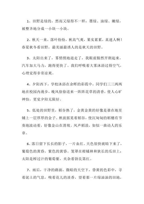 优美写景散文段落摘抄