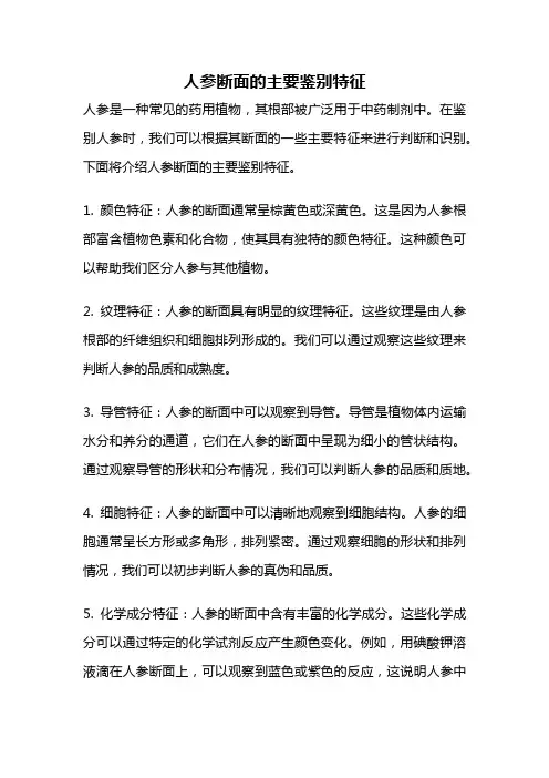 人参断面的主要鉴别特征