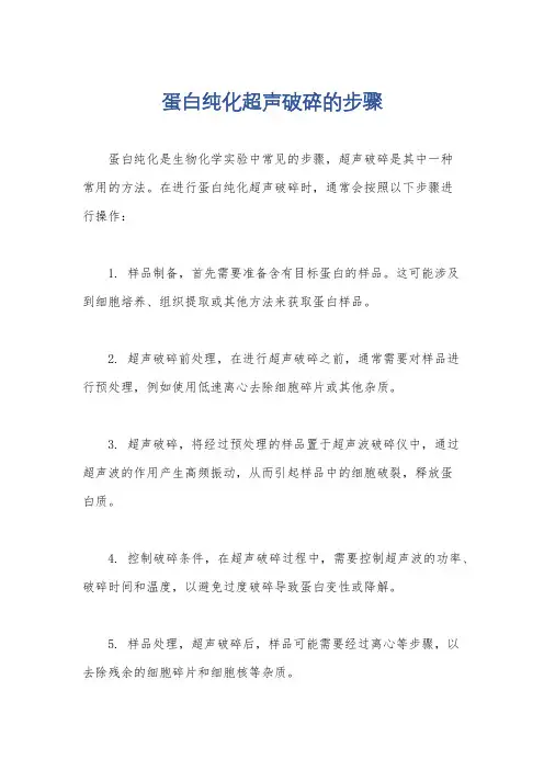 蛋白纯化超声破碎的步骤