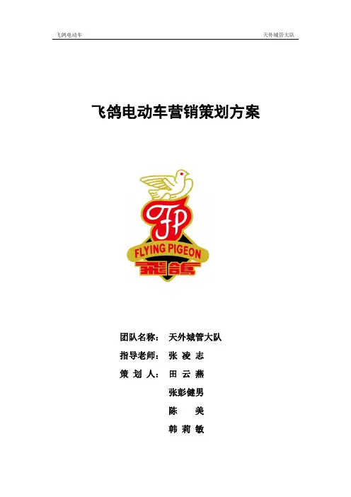 国内品牌电动车营销方案策划 书