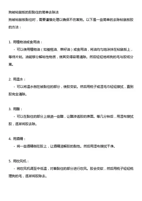 狗被粘鼠板的胶简单去除法