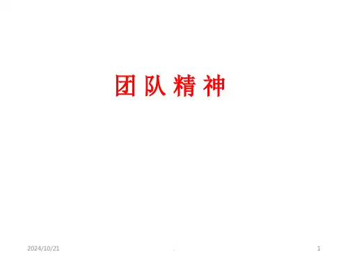 团队精神经典课件