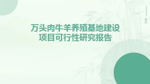 万头肉牛羊养殖基地建设项目可行性研究报告