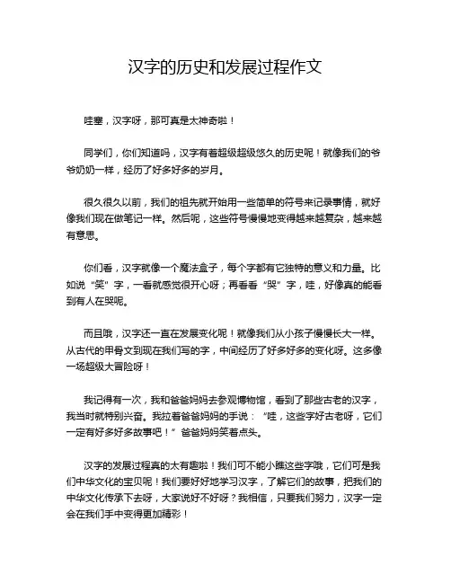 汉字的历史和发展过程作文