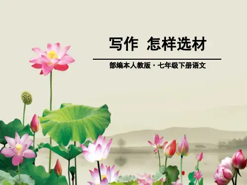 《怎样选材》PPT-完美版