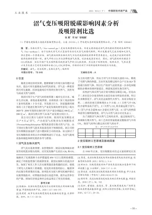 沼气变压吸附脱碳影响因素分析及吸附剂比选