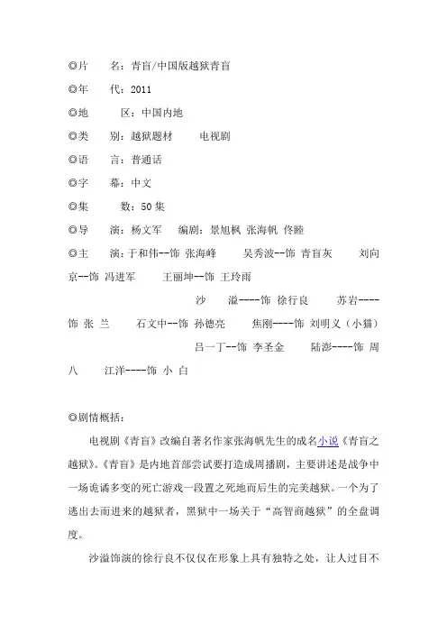 电视剧《中国版越狱青盲》剧情介绍