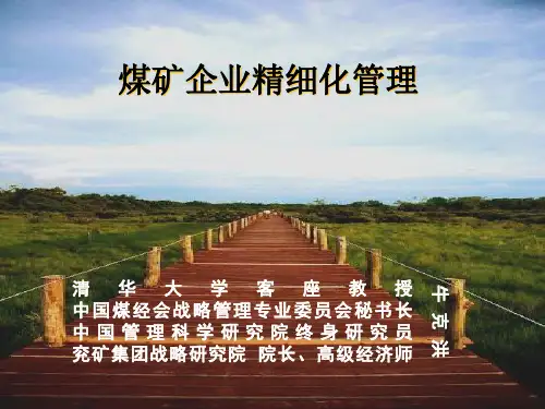 煤矿精细化管理ppt课件(PPT83页)