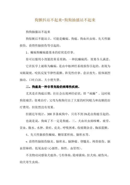 狗颤抖站不起来-狗狗抽搐站不起来