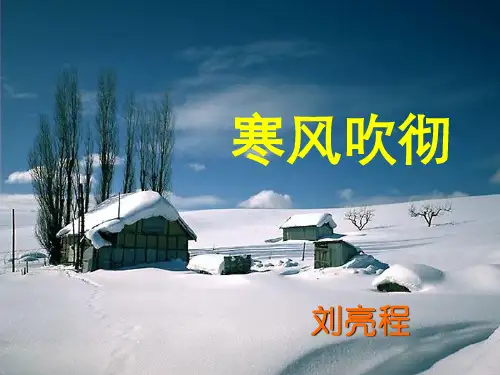 寒风吹彻(刘亮程)上课用