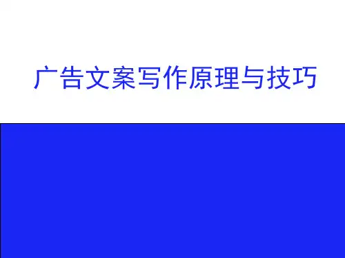 广告文案写作原理与技巧