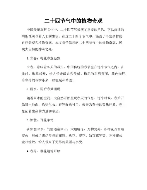 二十四节气中的植物奇观