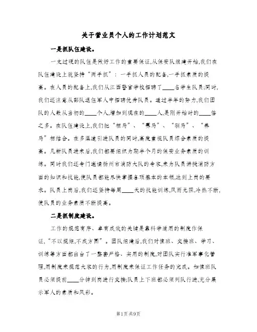 关于营业员个人的工作计划范文(三篇)