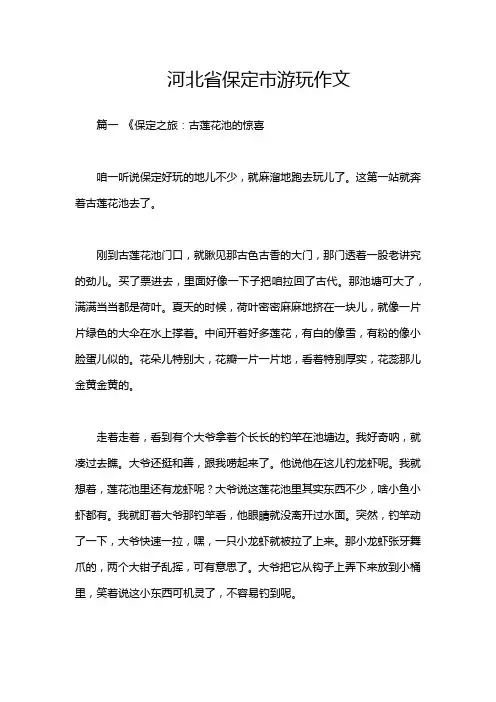 河北省保定市游玩作文