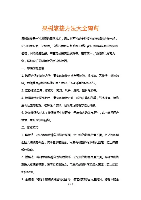 果树嫁接方法大全葡萄