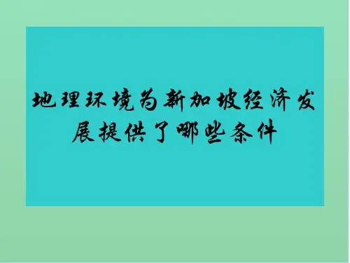 地理环境为新加坡经济发展提供了哪些条件