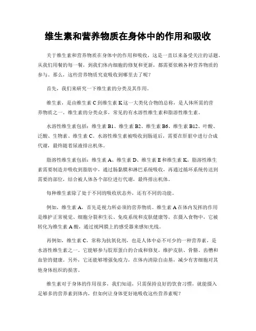 维生素和营养物质在身体中的作用和吸收