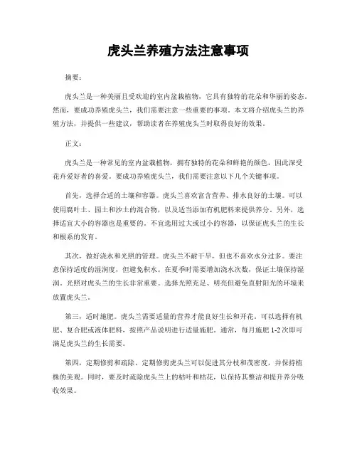 虎头兰养殖方法注意事项