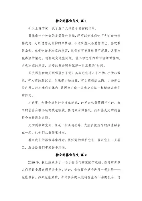 写身体部位的作文300