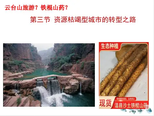 2.3资源枯竭型城市的转型发展PPT课件-人教版高中地理选择性必修二(30张)