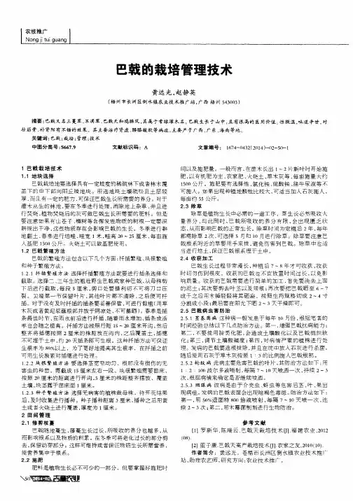 巴戟的栽培管理技术