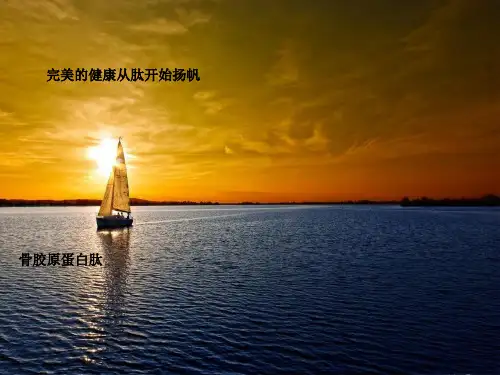 (2020年)胶原蛋白肽(最新课件)