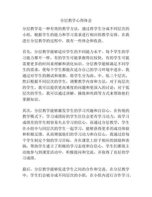 分层教学心得体会