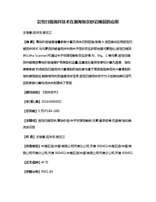 岩性扫描测井技术在渤海复杂砂岩储层的应用