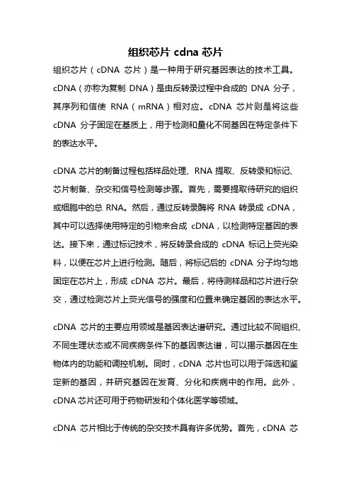 组织芯片 cdna芯片