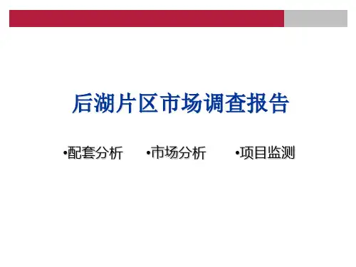 湖北武汉汉口后湖片区市调报告(110页).ppt