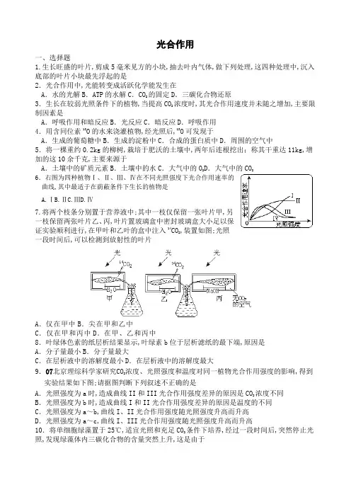 高三生物光合作用练习题及答案