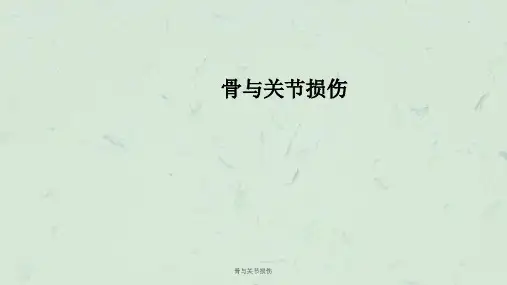 骨与关节损伤课件