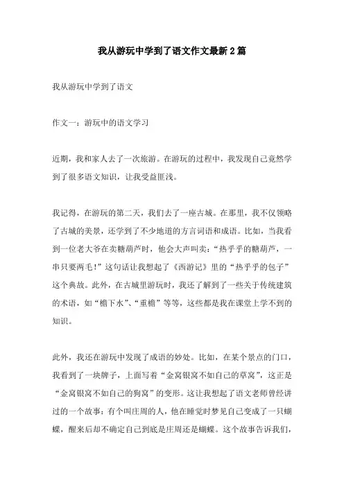 我从游玩中学到了语文作文最新2篇