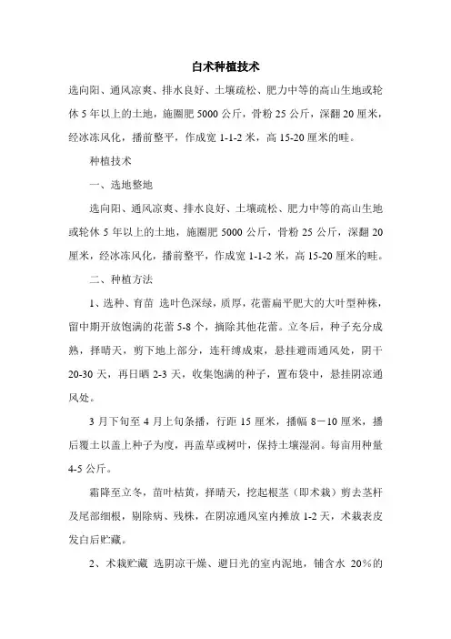 白术种植技术