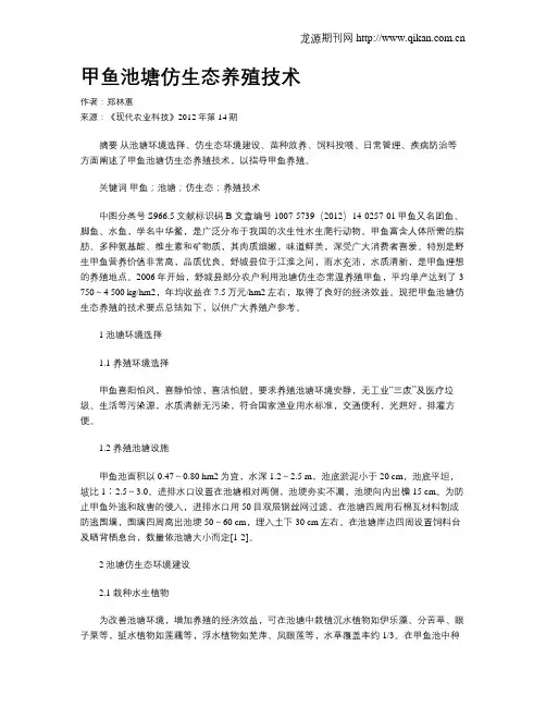 甲鱼池塘仿生态养殖技术