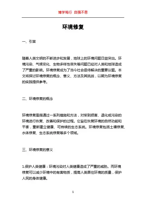 环境修复_精品文档